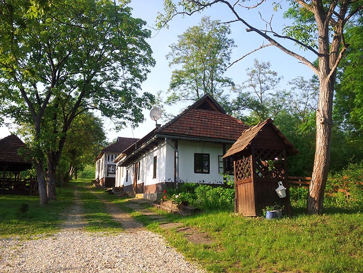 szanticska