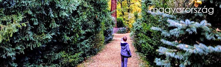 Egy hely, amire büszkék lehetünk: a szarvasi arborétum
