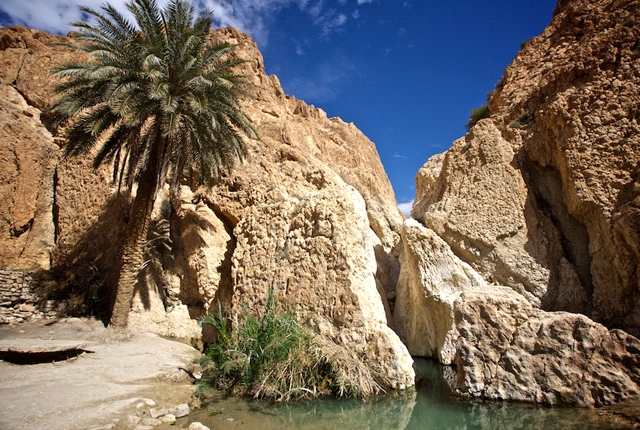 tamerza