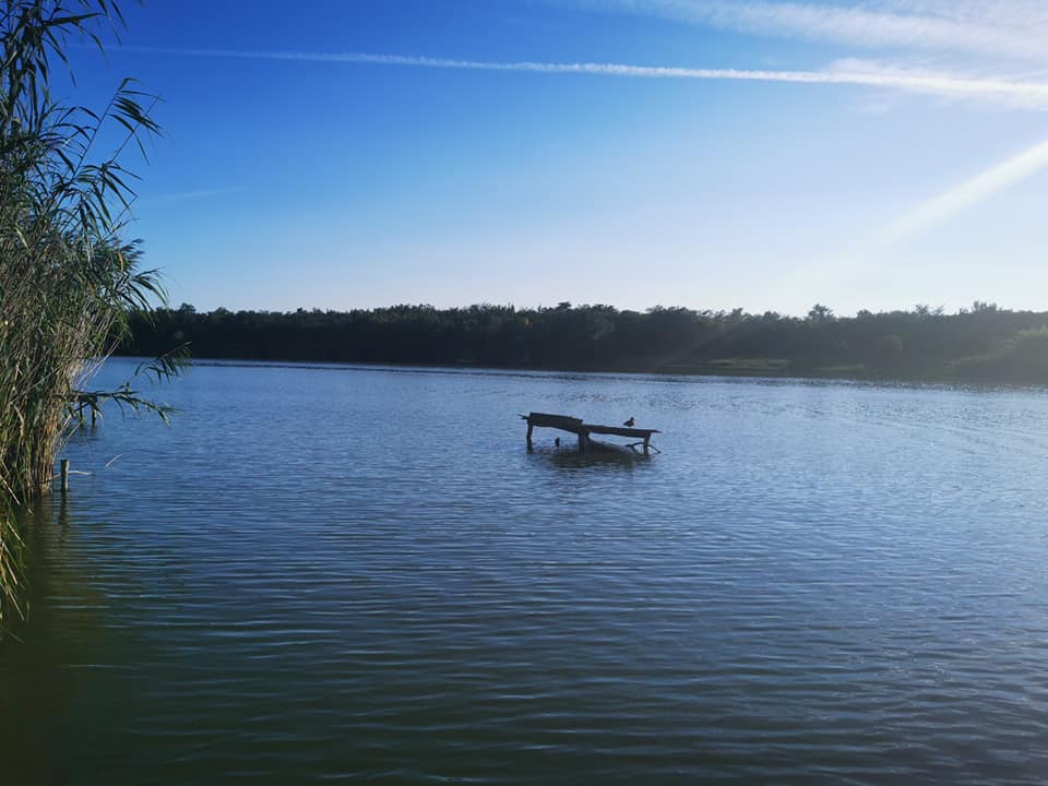 tisza1