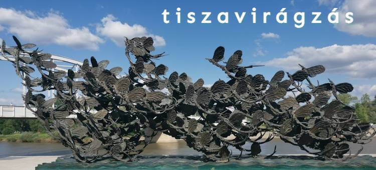 Tiszavirágzás – 3 év az iszapban, 3 óra a levegőben