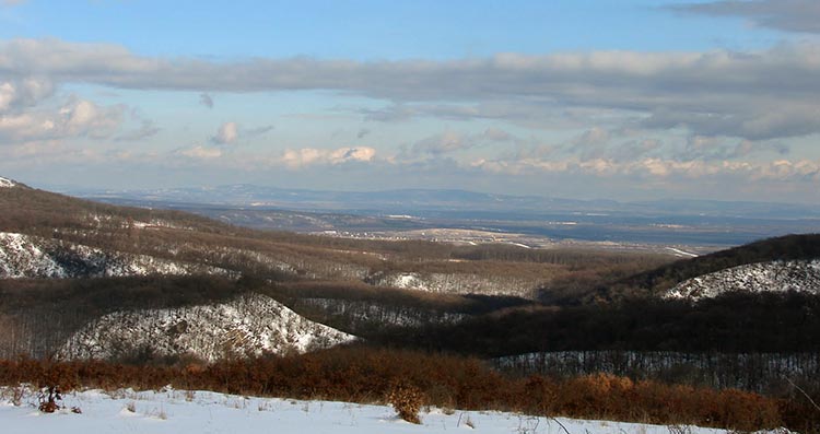 verteskozma
