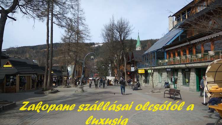 zakopane banner
