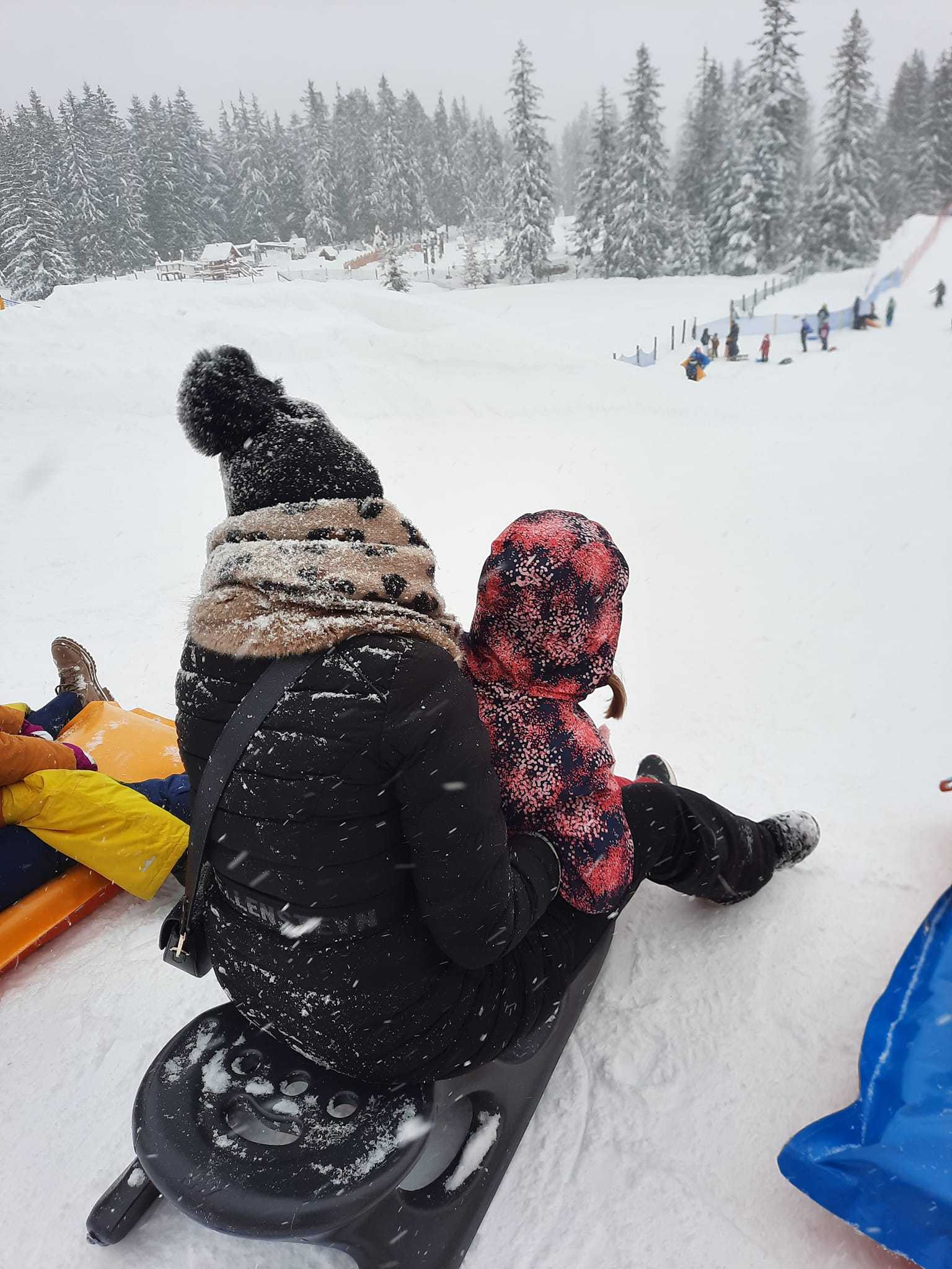 zakopane szánkózás